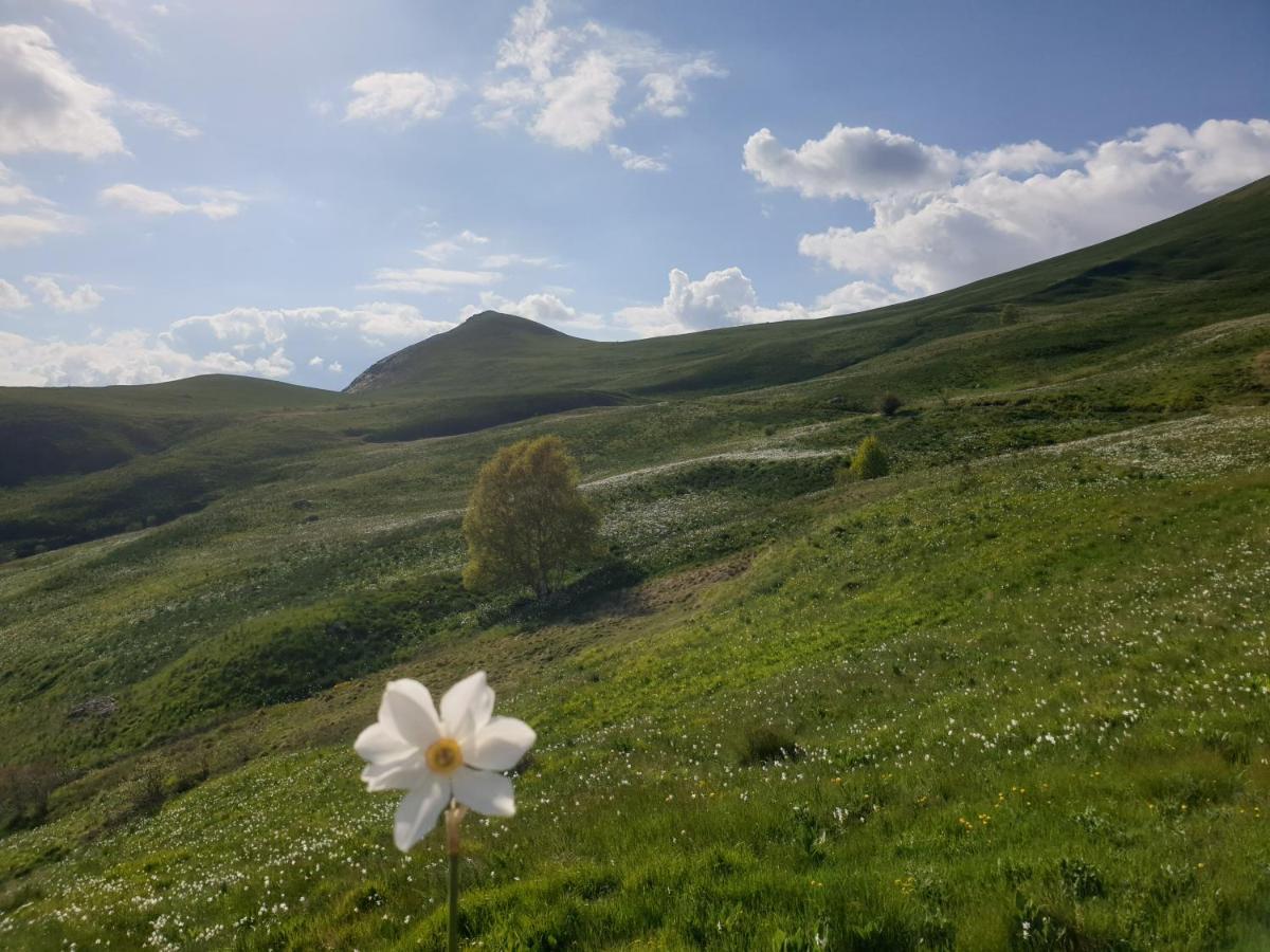 Appartement A La Montagne Villar-dʼArène Dış mekan fotoğraf